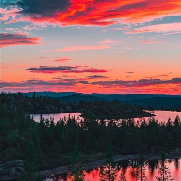 Meet your Posher, Mary - Picture 1 of 1